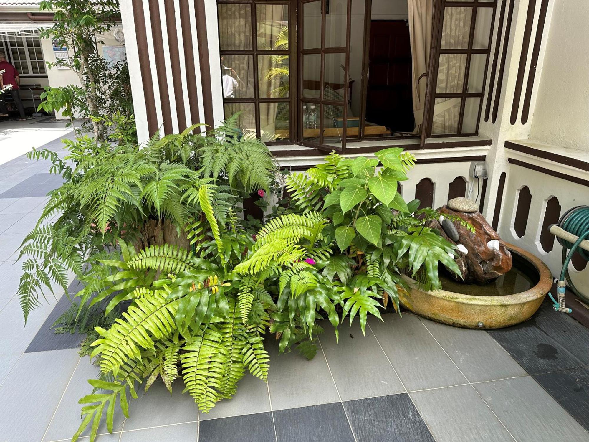 Отель Hickory Penang Hill Ayer Itam Экстерьер фото